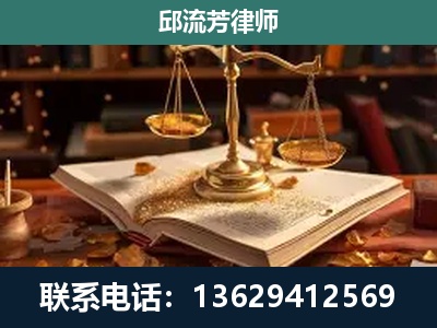 西林-刑事案件