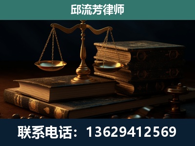 西林-刑事案件
